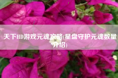 天下HD游戏元魂攻略(星盘守护元魂数量介绍)