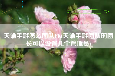 天谕手游怎么团队PK(天谕手游团队的团长可以设置几个管理员)