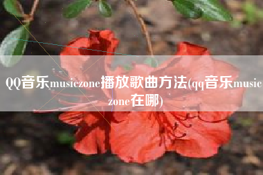 QQ音乐musiczone播放歌曲方法(qq音乐music zone在哪)