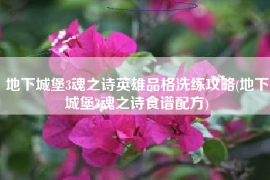 地下城堡3魂之诗英雄品格洗练攻略(地下城堡3魂之诗食谱配方)