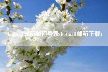 hotmail邮箱如何登录(hotmail邮箱下载)