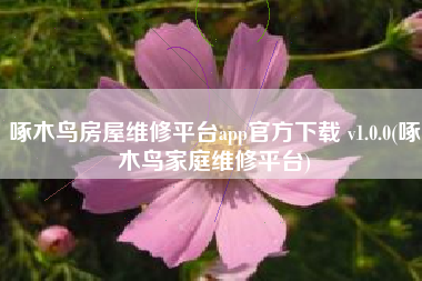 啄木鸟房屋维修平台app官方下载 v1.0.0(啄木鸟家庭维修平台)