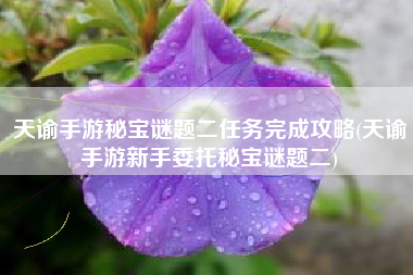天谕手游秘宝谜题二任务完成攻略(天谕手游新手委托秘宝谜题二)