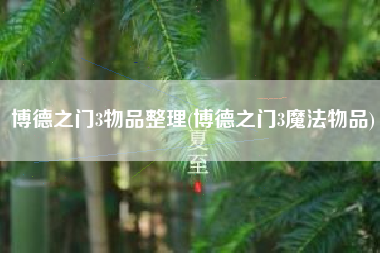 博德之门3物品整理(博德之门3魔法物品)