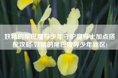 妖精的尾巴魔导少年守护魔导士加点搭配攻略(妖精的尾巴魔导少年新区)