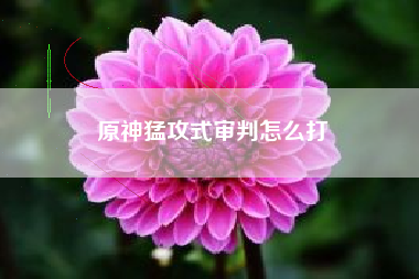 原神猛攻式审判怎么打