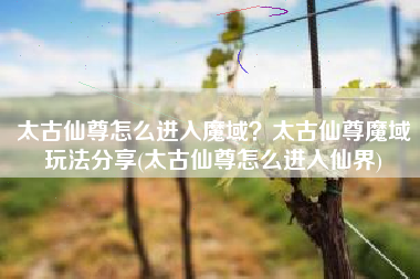 太古仙尊怎么进入魔域？太古仙尊魔域玩法分享(太古仙尊怎么进入仙界)