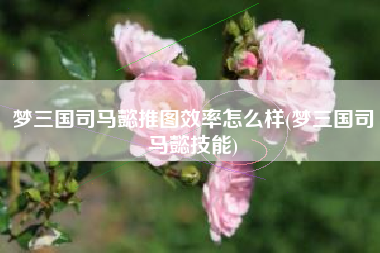 梦三国司马懿推图效率怎么样(梦三国司马懿技能)