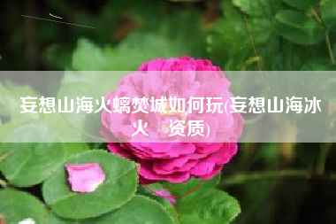 妄想山海火螭焚城如何玩(妄想山海冰烜火烜资质)