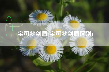 宝可梦剑盾(宝可梦剑盾区别)