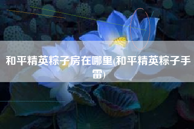 和平精英粽子房在哪里(和平精英粽子手雷)