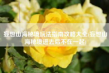 妄想山海秘境玩法指南攻略大全(妄想山海秘境进去后不在一起)