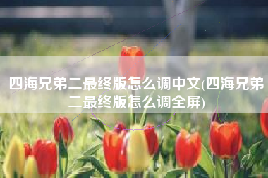 四海兄弟二最终版怎么调中文(四海兄弟二最终版怎么调全屏)