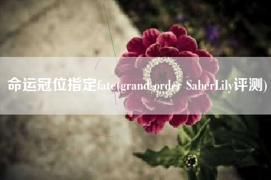 命运冠位指定fate(grand order SaberLily评测)