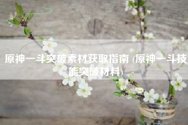 原神一斗突破素材获取指南 (原神一斗技能突破材料)