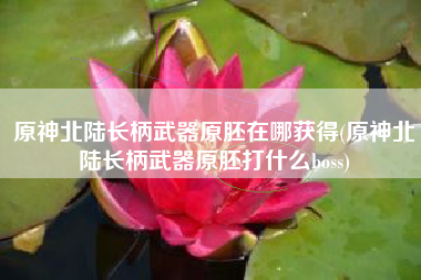原神北陆长柄武器原胚在哪获得(原神北陆长柄武器原胚打什么boss)