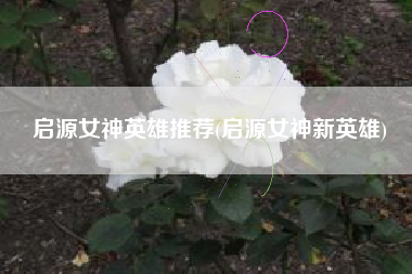 启源女神英雄推荐(启源女神新英雄)