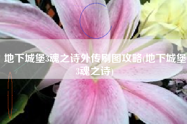 地下城堡3魂之诗外传刷图攻略(地下城堡3魂之诗)