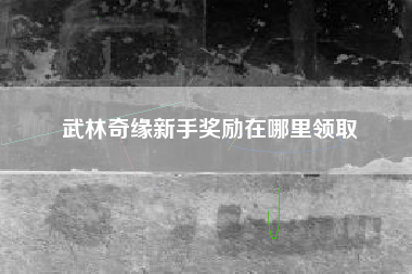 武林奇缘新手奖励在哪里领取