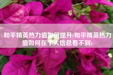 和平精英热力值如何提升(和平精英热力值如何在个人信息看不到)