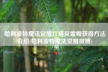 哈利波特魔法觉醒红格贝雷帽获得方法介绍(哈利波特魔法觉醒微博)