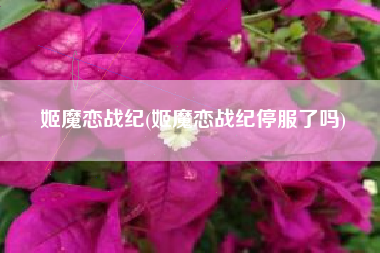 姬魔恋战纪(姬魔恋战纪停服了吗)