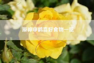 原神申鹤喜好食物一览