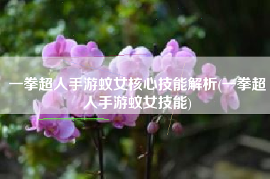 一拳超人手游蚊女核心技能解析(一拳超人手游蚊女技能)