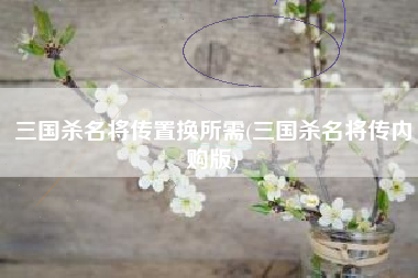 三国杀名将传置换所需(三国杀名将传内购版)