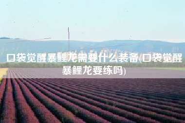 口袋觉醒暴鲤龙需要什么装备(口袋觉醒暴鲤龙要练吗)