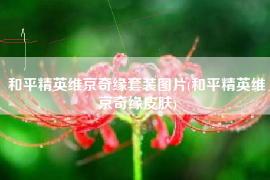 和平精英维京奇缘套装图片(和平精英维京奇缘皮肤)