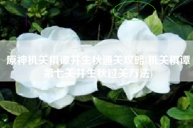 原神机关棋谭井生秋通关攻略(机关棋谭第七关井生秋过关方法)