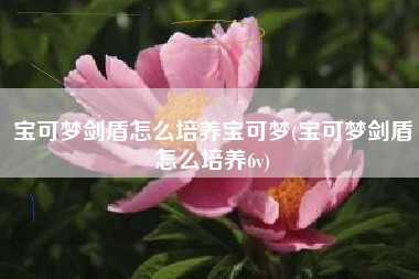 宝可梦剑盾怎么培养宝可梦(宝可梦剑盾怎么培养6v)
