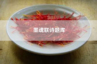 墨魂联诗题库