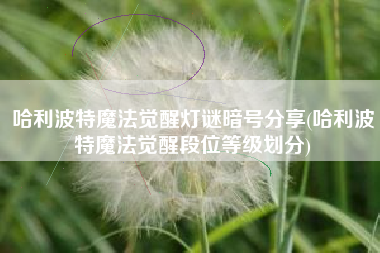 哈利波特魔法觉醒灯谜暗号分享(哈利波特魔法觉醒段位等级划分)