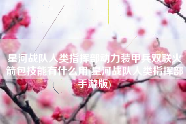 星河战队人类指挥部动力装甲兵双联火箭包技能有什么用(星河战队人类指挥部手游版)
