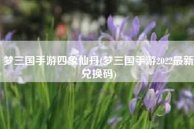 梦三国手游四象仙丹(梦三国手游2022最新兑换码)