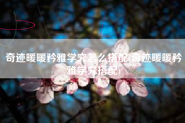 奇迹暖暖矜雅学究怎么搭配(奇迹暖暖矜雅学究搭配)