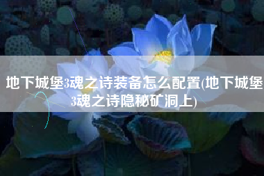 地下城堡3魂之诗装备怎么配置(地下城堡3魂之诗隐秘矿洞上)