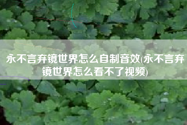 永不言弃镜世界怎么自制音效(永不言弃镜世界怎么看不了视频)