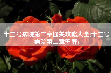十三号病院第二章通关攻略大全(十三号病院第二章黑屏)