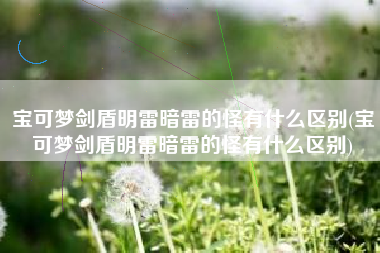 宝可梦剑盾明雷暗雷的怪有什么区别(宝可梦剑盾明雷暗雷的怪有什么区别)