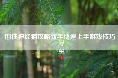 围住神经猫攻略新手快速上手游戏技巧