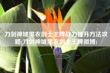 刀剑神域黑衣剑士王牌战力提升方法攻略(刀剑神域黑衣剑士王牌微博)