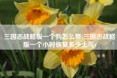 三国志战略版一个兵怎么带(三国志战略版一个小时恢复多少士气)