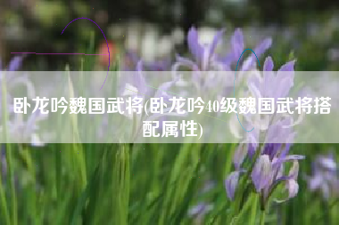 卧龙吟魏国武将(卧龙吟40级魏国武将搭配属性)