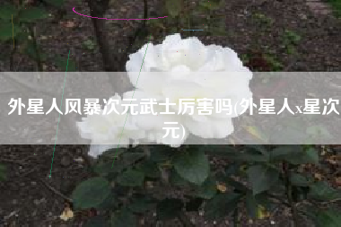 外星人风暴次元武士厉害吗(外星人x星次元)
