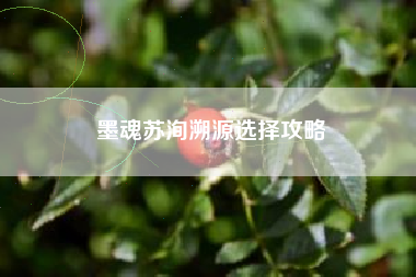墨魂苏洵溯源选择攻略
