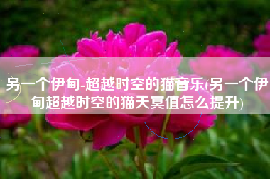 另一个伊甸-超越时空的猫音乐(另一个伊甸超越时空的猫天冥值怎么提升)