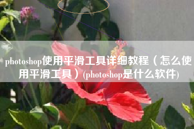 photoshop使用平滑工具详细教程（怎么使用平滑工具）(photoshop是什么软件)